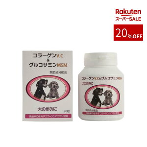 X[p[SALE pTvg ORT~R[Q 120 | o ֐ s l R[Q   L ˂ h{⏕ ^ ^ ^  VjA V N