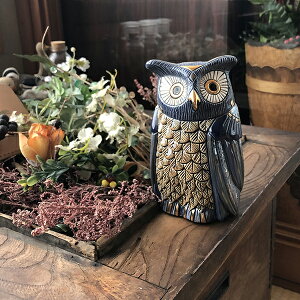  u[tNE 1005 u  ӂ낤 tNE  IE  N K IuWF  킢 蕨 v[g EOAC