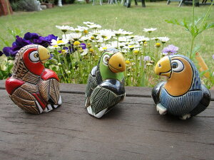 IE  &  & 323 324 325 u   g Ƃ bird ybg CeA IuWF G x \x  킢 M 蕨 v[gZbgȂ360~