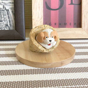 obO̒̃r[O 501A u    Ckdog hbO x \x  ybg CeA IuWF G  킢 蕨 v[g