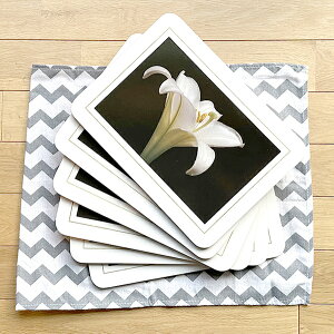 6 ~jv[g PP6 [ S Lilly g[ ~ `}bg ԕ AeB[N g JtF i CeA G  v[g Mtg j[W[h