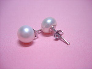 W ^ sAX fBX  킢 ANZT[ WG[ Mtg v[g 蕨 HP-13