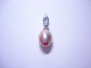 W ^ y_ggbv fBX  킢 ANZT[ WG[ Mtg v[g 蕨 HP-28