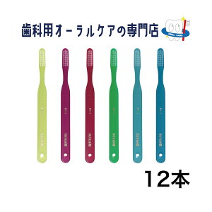 TX^[ og[ #211 ʗp l uV 12{Zbg