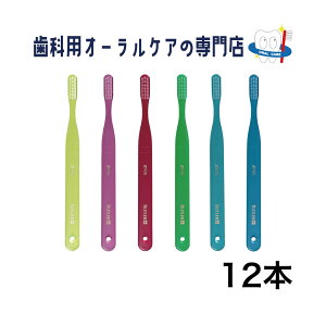 TX^[ og[ #200 ʗp l uV 12{Zbg