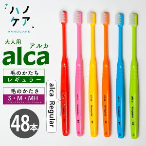 y48{zȐpuV PDR lp AJ M[ alca Regular \tg S 炩 ~fBA M ӂ ~fBAn[h MH ₩ RpNgwbh { P.D.R. is[fB