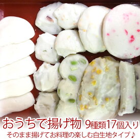 【送料無料】おうちで揚げ物 9種類17個入り （個別真空包装） そのまま揚げてお料理を楽しむ白生地タイプ♪ 伊勢名物 てんぷら さつま揚げ 練り物 真空パックでお届け