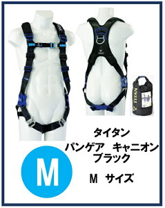 yVKiz^C^ pQA LjI ubN MTCY PACN-10A-BLiMj TR[ tn[lXS ė~p