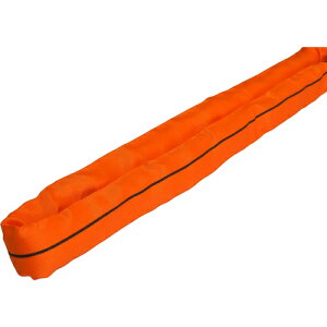 TAIYO �C���J �V���X�����O �G���h���X 10t×3m(1016016) INKTN10X3 ��m����H�� 700-3121