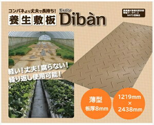 yiFlszEbhvX`bN _Ɨp~ Diban Жʓ ^ 1219mm×2438mm J[Fx[W {~ ʂݑ΍ y