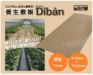 yiFlszEbhvX`bN _Ɨp~ Diban Жʓ ^ 910mm×1820mm J[Fx[W {~ ʂݑ΍ y