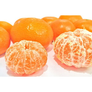 Q@Ƃ@݂񔠁@5kgySz ~Mtg@[J[iiiij