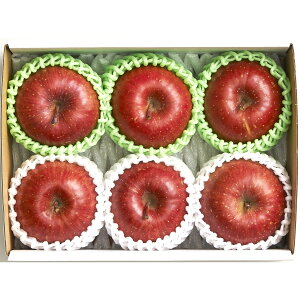 XY@xTӂ@1.5kgiڈF5`6ji͂F12{`12{jySzΕ@~MtgiC`oj