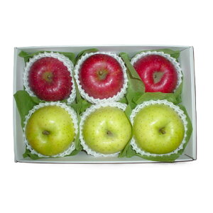 XY@TӂEыl@1.5kgiڈFTӂ2`3E2`3ji͂F12{`12{jySzΕ@~MtgiC`oj