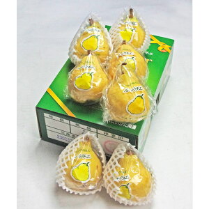 EN`F@2kgiڈF5`9ji͂F12{`12{jySzΕ@~MtgiC`oj