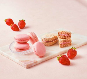 yiԍ793z@]EhEt[Y ܂䕂̏ĉَqoGeB@yz݁z ~Mtg Ε@[J[i