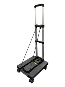 傢L[@RpNgȐ܂肽ݑԁ@50kg@CC-N50@W^Cv@HMR[|[V