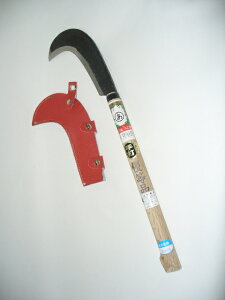 Rїp@o@(n)300g@RutATbNt