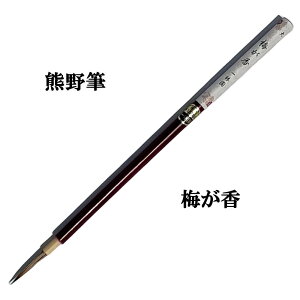  M FM ȗp M xz ~@唒K,C^` ׎M ÓTp K KM  p ʌo Տ pi e-shop