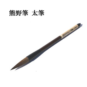  M M FM M F19 瑐 | Z ⋭e͂ K KM S  pi e-shop