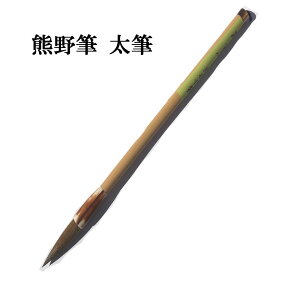  M M FM M F35 gt C^` e͂ K KM  pi e-shop