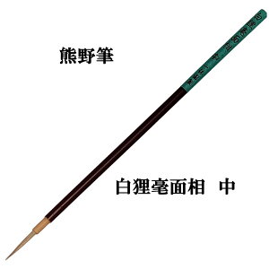 {pM npM ʑM yxz K|ʑ () 2.5mm×24mm  M FM M { n pi e-shop