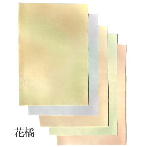  ȗp ԋki͂Ȃ΂ȁj yz 5FZbg 20  ȗ     Տ  p pi e-shop