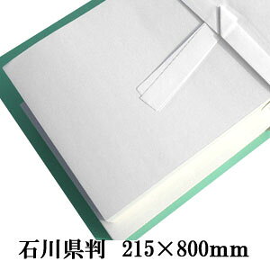 ߗpΐ쌧@TCYF215×800mmF100