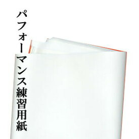 書道パフォーマンス用 練習用紙 わけあり大きな練習用紙 約1m×4m 20枚 書道 パフォーマンス 紙 訳あり 書道用紙 書道用品 半紙屋e-shop