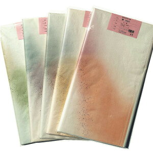  H 荗历H   1F×10 ȗp yHez 3F،pڂE召ؔq iԁF508GT p 历 p  ȗpH