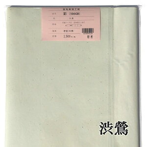 y H 荗历 w   10 J[Fa ȗp ɂ܂Ȃ yHez ŜڂEq iԁF506GB p 历  p  ȗpH