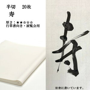   𕝎 荗 历   20 p  Zn ꂪׂ | 荗历  pi p i  e-shop