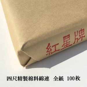 gv l ǗȘA S (700×1380mm) 1100 | p 荗 历 ǗȘA { p  pi i   e-shop