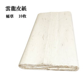 書道 加工紙 手漉き 雲龍皮紙 植物繊維入 耳付き全紙 1色×10枚 漢字用 書道用紙 画仙紙 漢字用加工紙