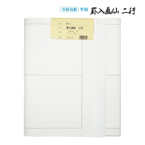  H r历 2s  1F×20 p ɂ Hez r2s iԁFPK13 p 历  pH