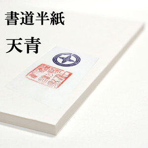  荗 V 100   荗 荗 pi p  p  e-shop