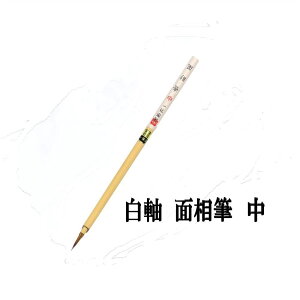 {pM npM ʑM yxz ʑ () 3mm×17mm  M FM M { n pi e-shop