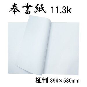 򏑎  ɗ\ 394×530mm 500