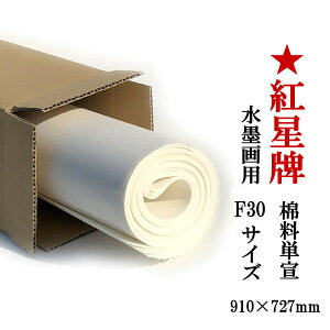 gv F30TCY ǗP 10 历 np { { 910×727mm