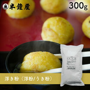 iEj300gi\EΏĂECVLqE񕲁Eѐᕲj