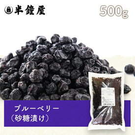 ブルーベリー 500g（砂糖漬け・ドライブルーベリー・製菓・製パン）