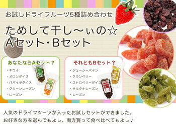 【送料コミコミ】お試しドライフルーツ5種詰め合せためして干し〜ぃの☆【sm15-17】【smtb-KD】
