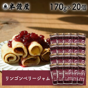  EĕI kY Sx[W 170g×20iyN`sgpjipP[LE~[g{[j