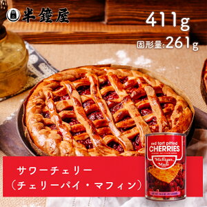 ~VK T[`F[ 4ʁi411gjipCEpEhE픲EЂj