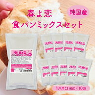 送料無料 純国産 北海道産 春よ恋食パンミックスセット【10個】（国産 食パン 半鐘屋オリジナル 食パン …