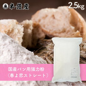 北海道産強力粉 春よ恋（はるよこい）ストレート 2.5kg（国産・食パン・製パン）