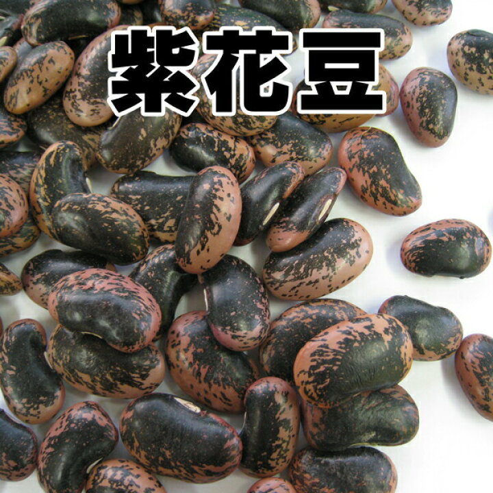 楽天市場 紫花豆 輸入 1 5kg パン 製菓材料とはとむぎの半鐘屋 楽天市場 紫花豆 輸入 1 5kg パン 製菓材料とはとむぎの半鐘屋