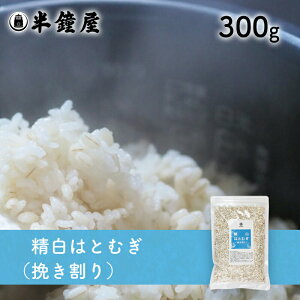 ͂Ƃނm ͂Ƃނi҂j300gingMEGEG͂j