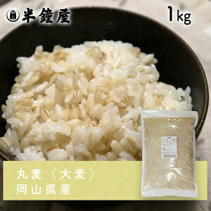 RY ܂锞i唞E۔j1kgiG͂EX[vEύݗj