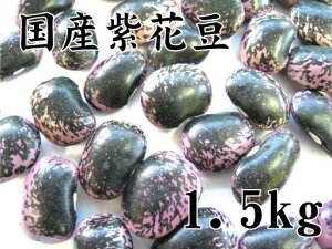 紫花豆（北海道産）1.5kg（甘煮、甘納豆に）